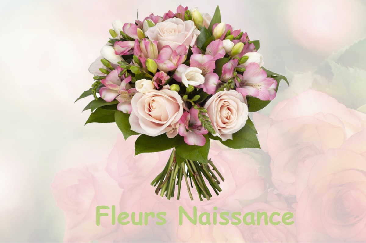 fleurs naissance OISON