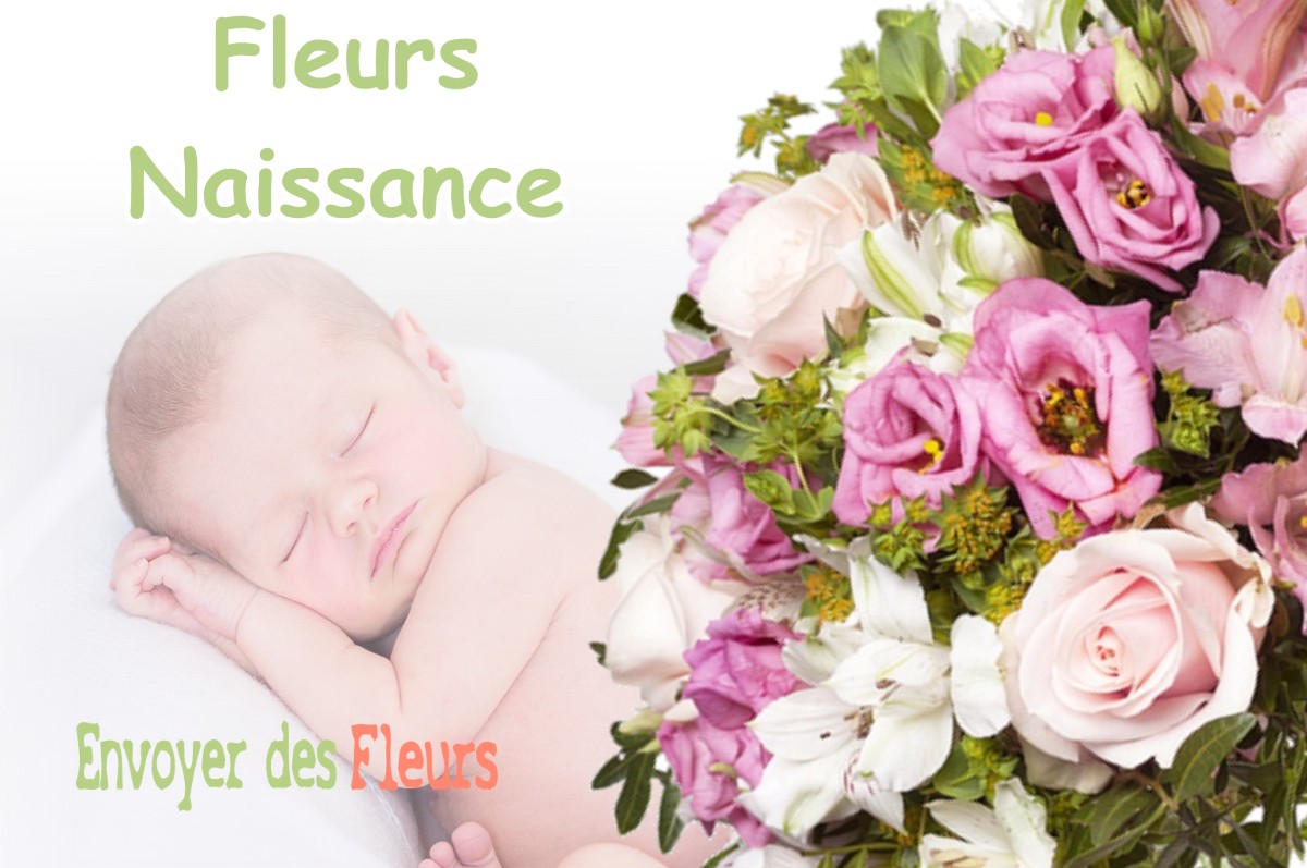 lIVRAISON FLEURS NAISSANCE à OISON